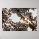 Search for carpe diem art Encouragement