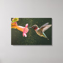 Search for hummingbird canvas prints Nectar