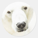 Search for staring stickers Nature