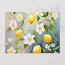 Search for lemons postcards Botanical