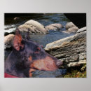 Search for river rock Stream