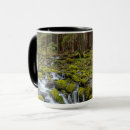 Search for danita delimont mugs Stream
