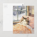 Search for cat on a bed postcards Adorable