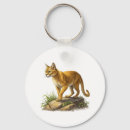 Search for cougar key rings Wildlife