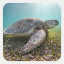 Search for sea green stickers Nautical