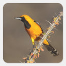 Search for orioles stickers Wildlife