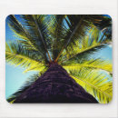 Search for big tree electronics Travel