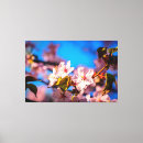 Search for japanese cherry tree art Nature