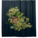 Search for monarch butterfly shower curtains Flowers