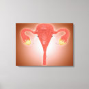 Search for female anatomy canvas prints Human body parts