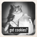 Search for funny cat coasters Adorable