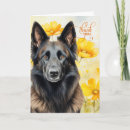 Search for belgian shepherds cards Dogs