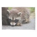 Search for racoon pillowcases Nature
