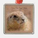 Search for prairie dog christmas tree decorations Animals
