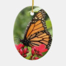 Search for monarch christmas tree decorations Flower