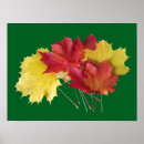 Search for maple leaf art Foliage