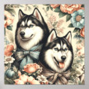 Search for siberian husky posters Puppy