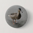 Search for quack badges Cute