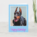 Search for doberman birthday cards Puppy