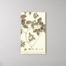 Search for parts of a flower posters Plant