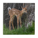 Search for fawn tiles Deer