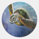 Search for sea turtle stickers Nautical
