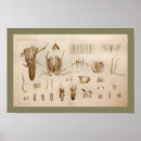 Search for sucker art Tentacles