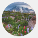 Search for plants round stickers Photography