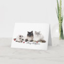Search for cute kitten christmas cards Tabby