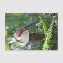 Search for large decoupage paper Nature