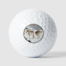 Search for snow golf balls Winter
