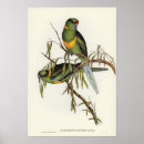 Search for vintage bird art Illustration