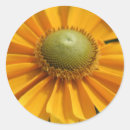 Search for sunny day stickers Flowers