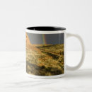 Search for standard model mugs Rainbow