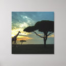 Search for african sunset canvas prints Safari