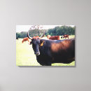 Search for bull cow canvas prints Western
