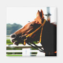 Search for horse race magnets Equine
