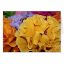 Search for fiesta note cards Mexico