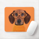 Search for eyeglasses mousepads Animal