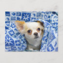 Search for blankets postcards Warm