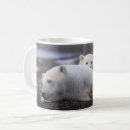 Search for family bear mugs Arctic