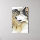 Search for grey wolf art Dog