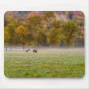 Search for cow mousepads Autumn