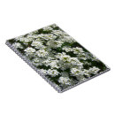 Search for pretty notebooks Photograph