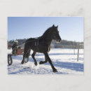 Search for pursuit postcards Horizontal