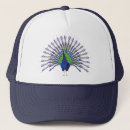 Search for peacocks hats Feathers