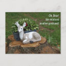 Search for dear postcards Humourous