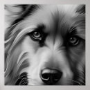 Search for black and white dog posters Eyes