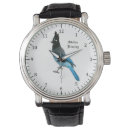 Search for bluejay accessories Nature