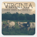 Search for dairy cow stickers Agriculture